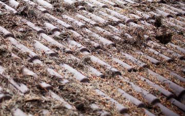 Clutton roof cleaning companies